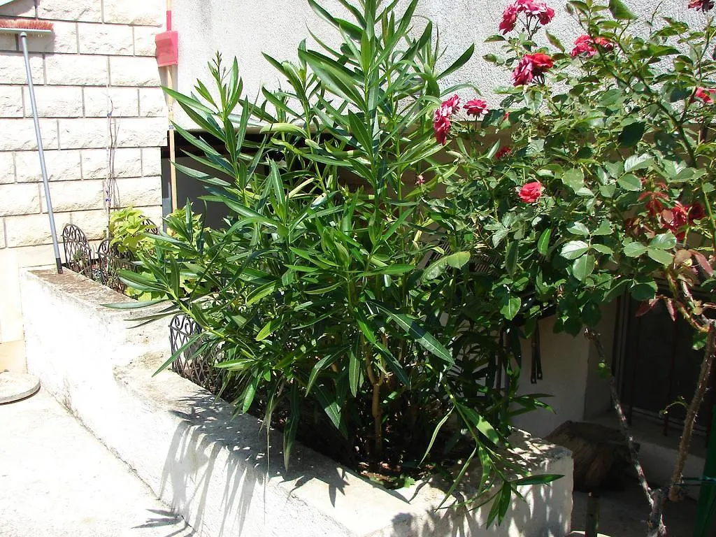 Apartment Svagi Rooftop Split Croatie